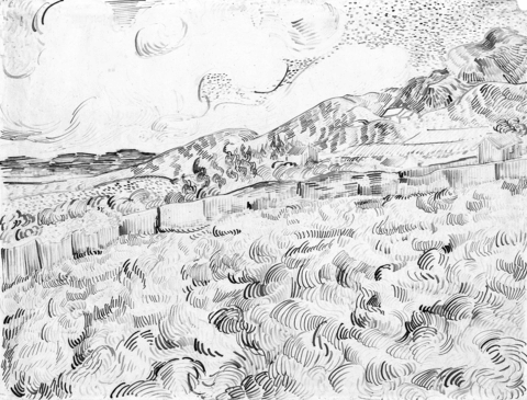 The Enclosed Wheatfield After A Storm By Vincent Van Gogh Coloring Page